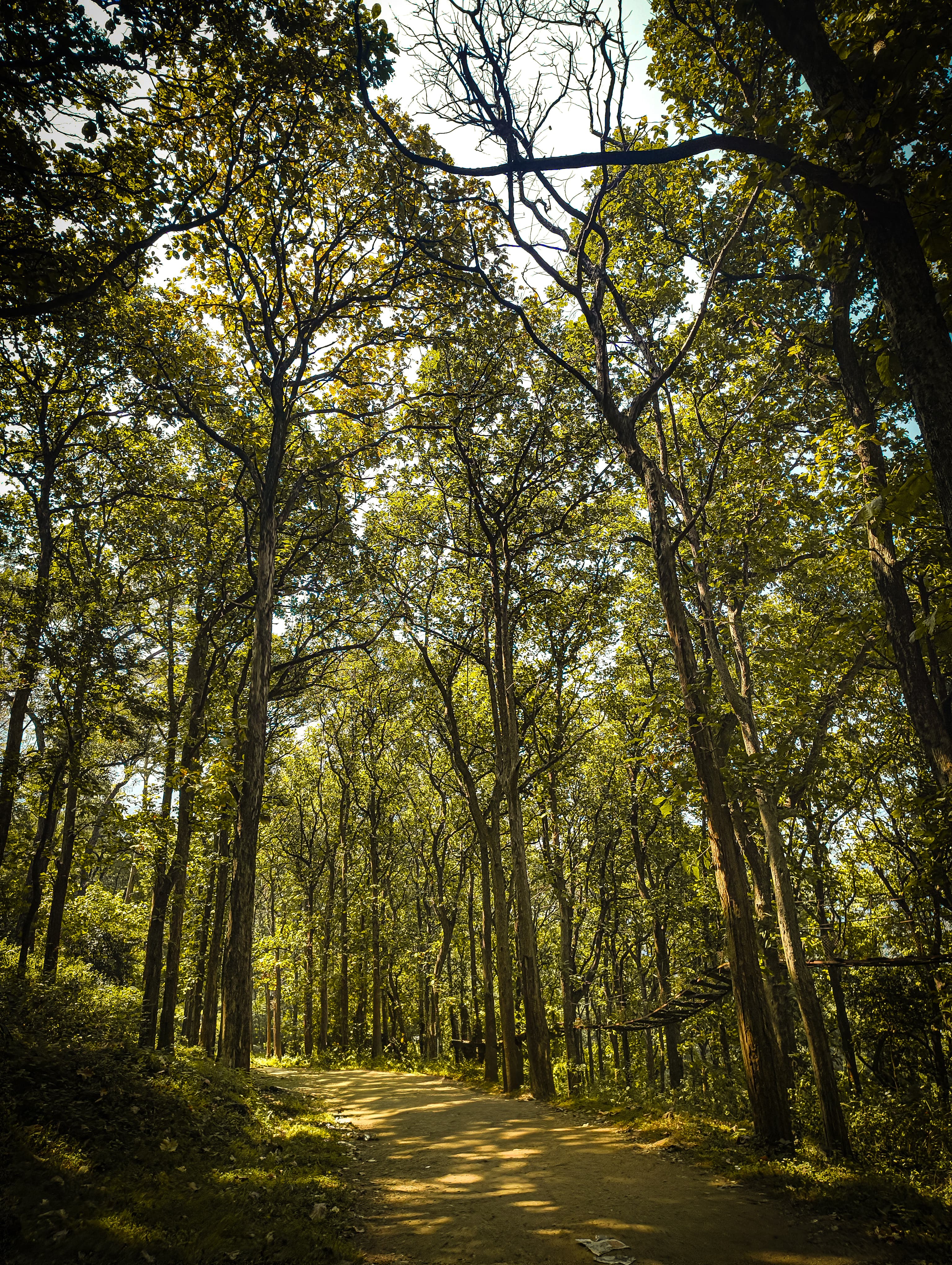 Hidden trails preview